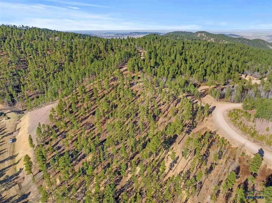 Lot 103R Paradise Gulch Loop, Lead, SD 57754 - #3