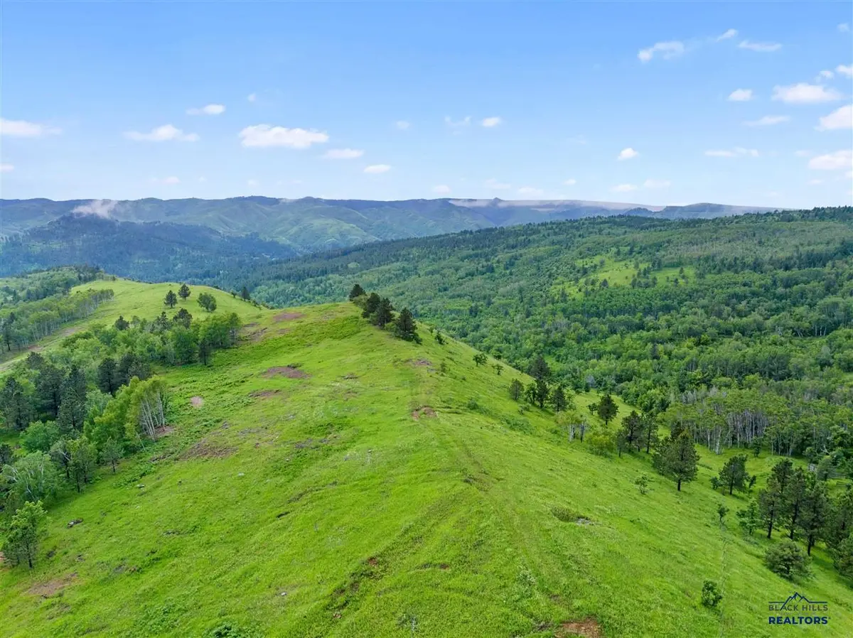Lot 5 BLK 3 TBD Mystery Wagon Road, Deadwood, SD 57732 - #1