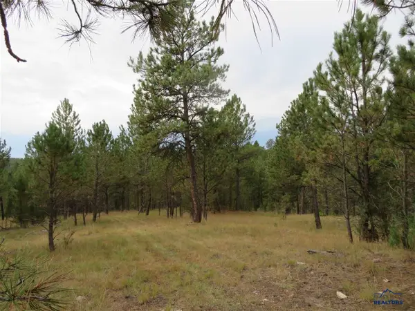 TBD Lot 34B Hombre Trail, Custer, SD 57730-9166