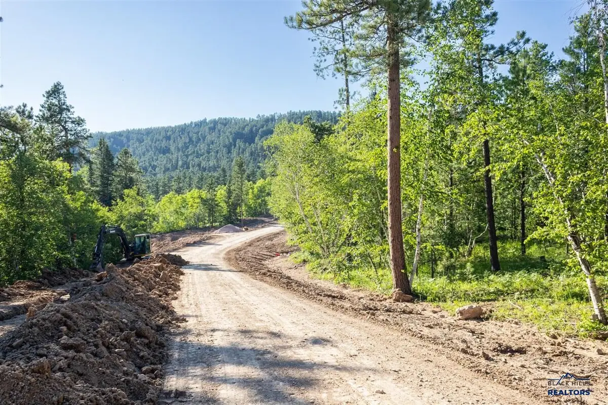 Lot 115B Paradise Gulch Loop, Lead, SD 57754 - #1