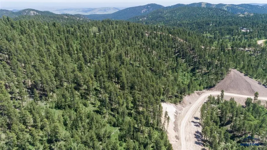 Lot 115B Paradise Gulch Loop, Lead, SD 57754 - #2