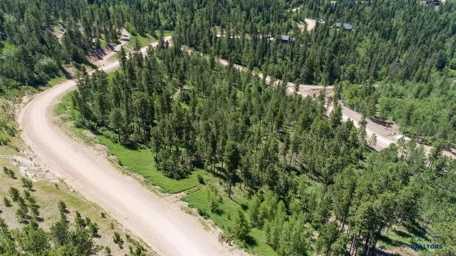 Lot 125 Paradise Gulch Loop, Lead, SD 57754 - #2