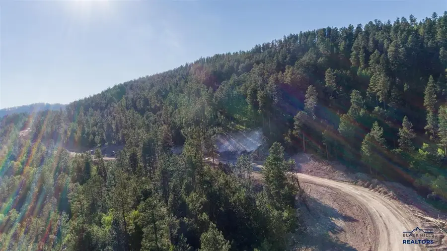 Lot 125 Paradise Gulch Loop, Lead, SD 57754 - #3