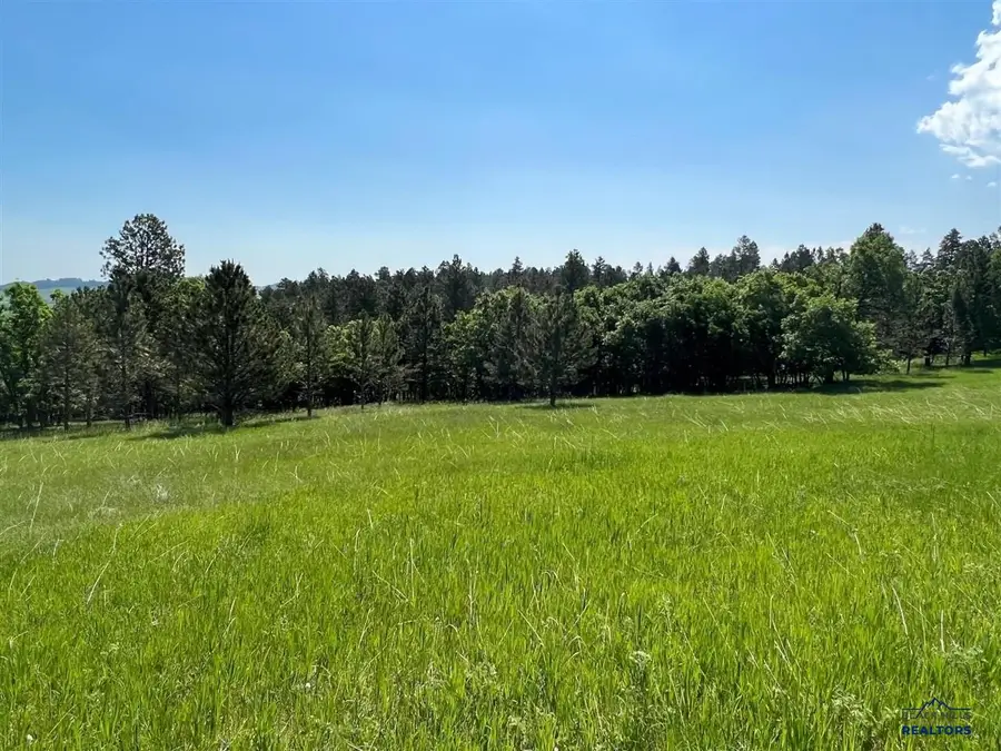 tbd lot 7 Niobrara Drive, Whitewood, SD 57793 - #2