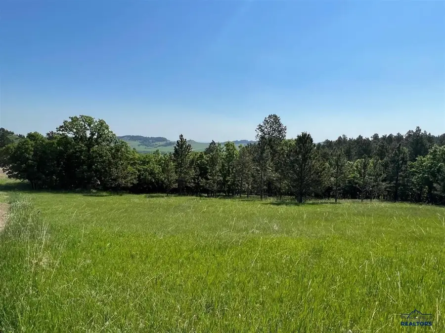 tbd lot 7 Niobrara Drive, Whitewood, SD 57793 - #3