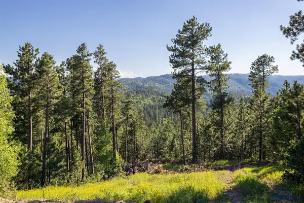 Lot 137 Other, Lead, SD 57754