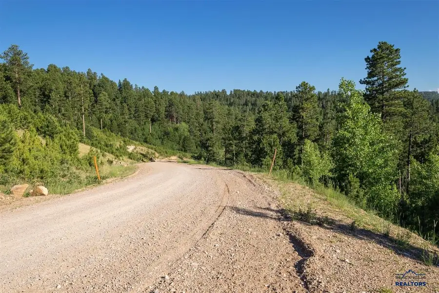 Lot 137 Other, Lead, SD 57754 - #2