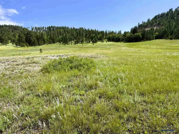 E1 Soaring Eagle Road, Hulett, WY 82720