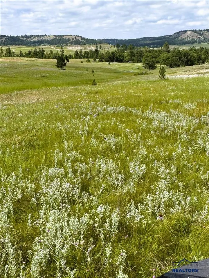 E1 Soaring Eagle Road, Hulett, WY 82720 - #2