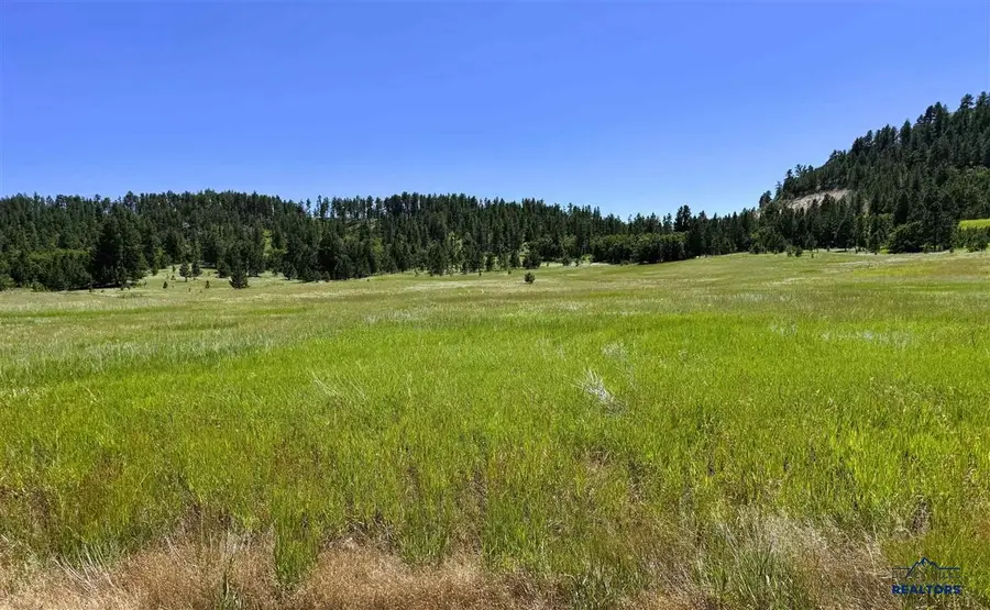 E1 Soaring Eagle Road, Hulett, WY 82720 - #3