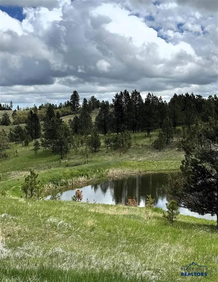 E2 Soaring Eagle Road, Hulett, WY 82720 - #3