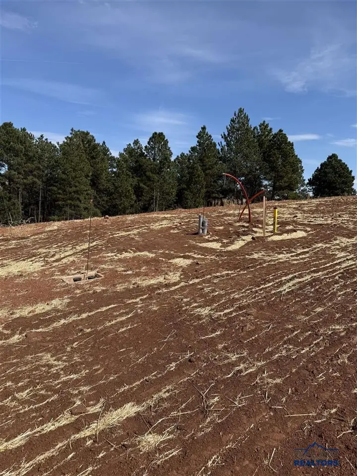 5824 Wind River Rd, Rapid City, SD 57702 - #3