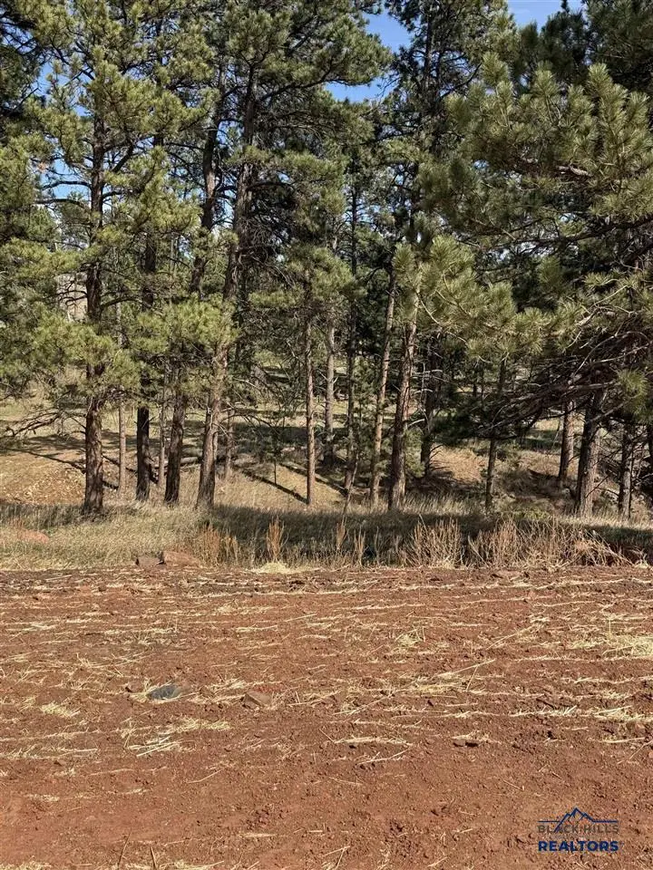 5722 Wind River Rd, Rapid City, SD 57702 - #2