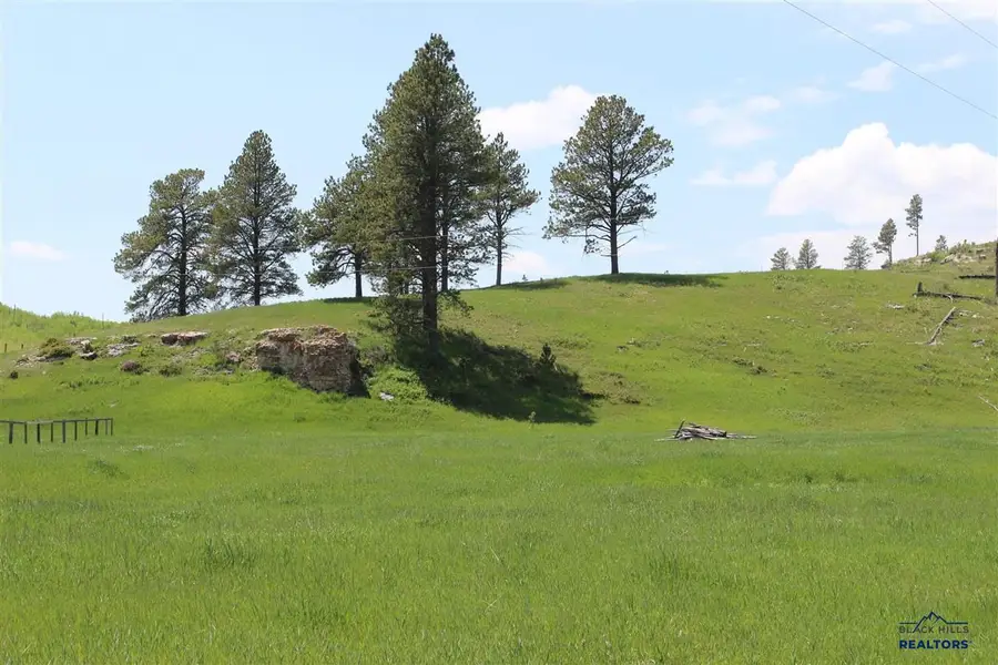 20.57 acres Custer Limestone Road, Custer, SD 57730-0000 - #2