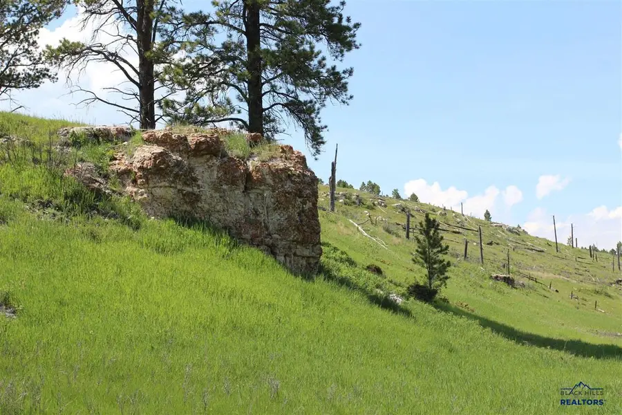 20.57 acres Custer Limestone Road, Custer, SD 57730-0000 - #3