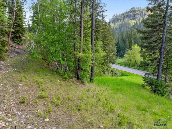 M.S. 1742 Lot 2 Us Hwy 14a, Lead, SD 57754