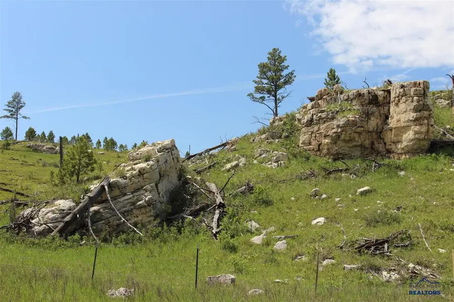 65.49 acres Custer Limestone Road, Custer, SD 57730 - #2