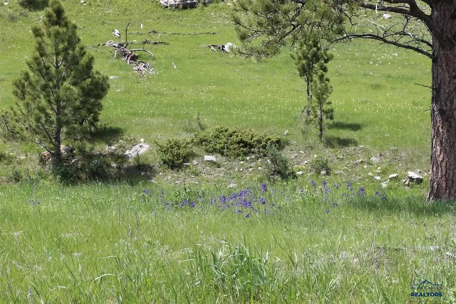 65.49 acres Custer Limestone Road, Custer, SD 57730 - #3