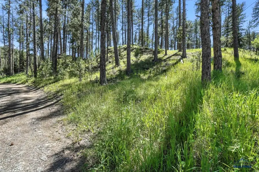 TBD Other, Silver City, SD 57702 - #3