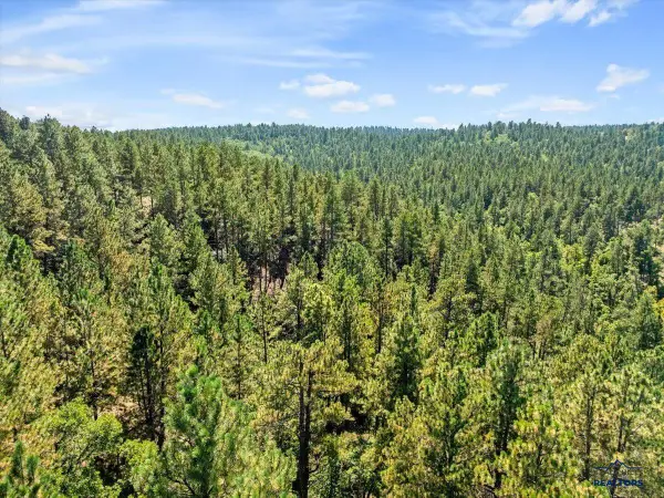 Lot 13 Oak Drive, Whitewood, SD 57793