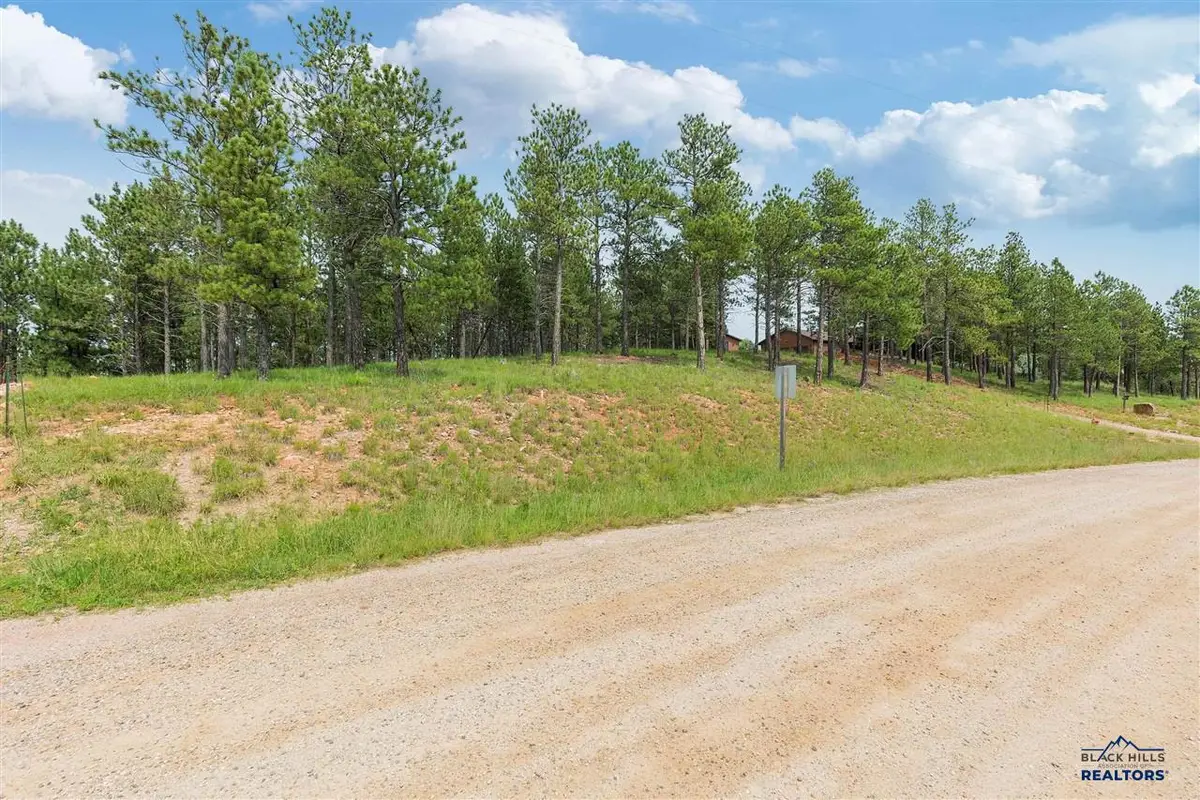 TBD Borglum Rd, Keystone, SD 57751 - #1