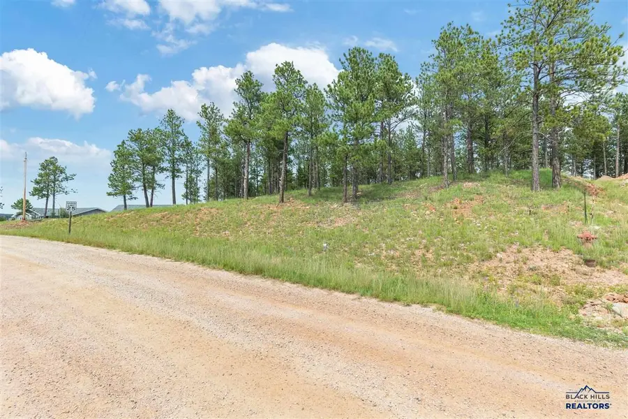 TBD Borglum Rd, Keystone, SD 57751 - #2