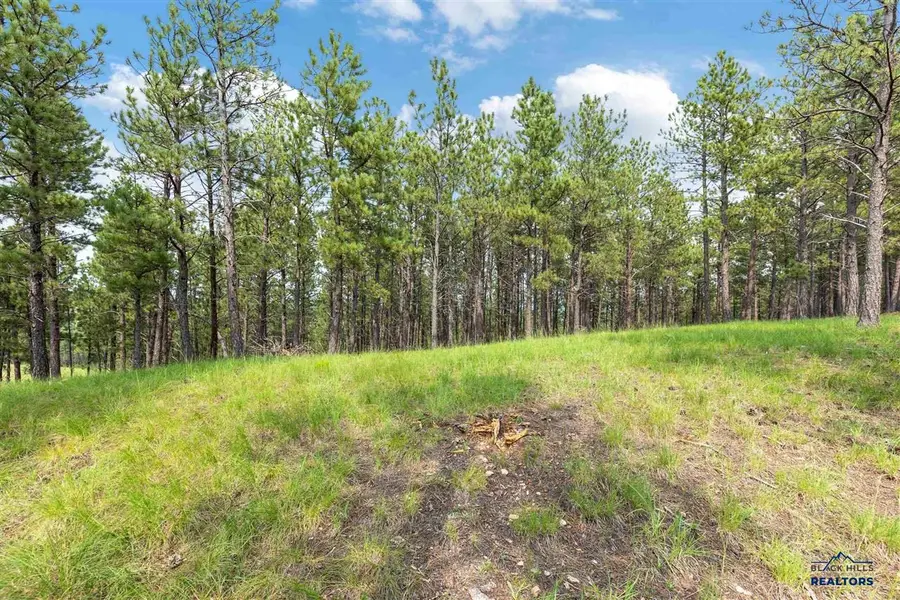 TBD Borglum Rd, Keystone, SD 57751 - #3