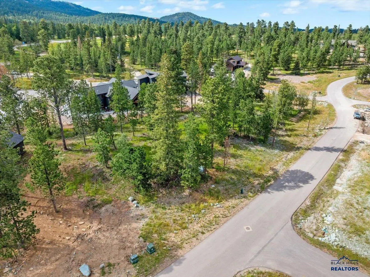 Lot 9 Block 11 Trailside Road, Lead, SD 57754 - #1
