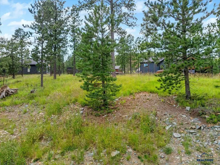 Lot 9 Block 11 Trailside Road, Lead, SD 57754 - #3
