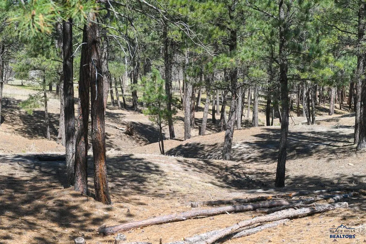 Lot S Peaceful Pines, Belle Fourche, SD 57717 - #1
