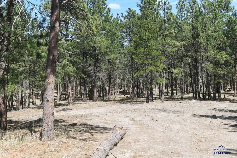 Lot R, Belle Fourche, SD 57717 - #2