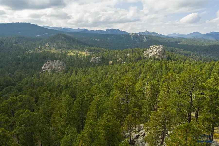TBD Trackers Trail, Keystone, SD 57751 - #3