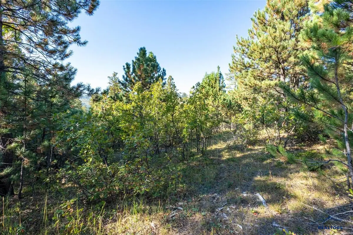 Lot 17 Dynasty Rd, Lead, SD 57754 - #1