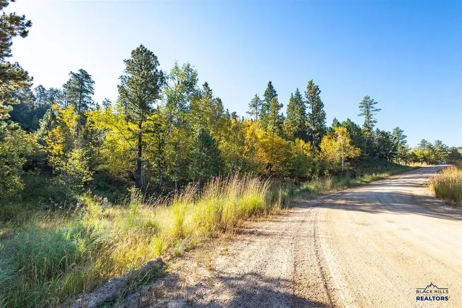 Lot 17 Dynasty Rd, Lead, SD 57754 - #2