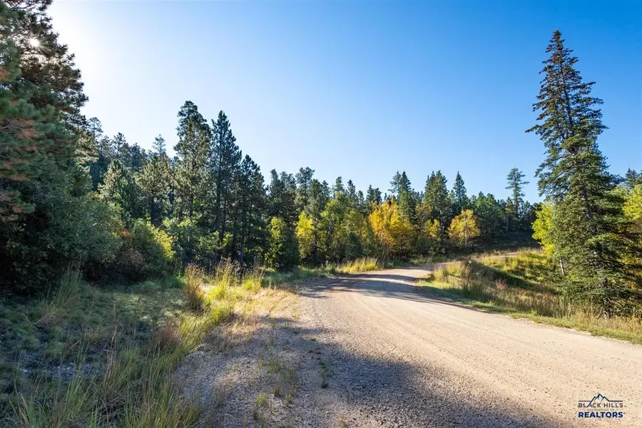 Lot 17 Dynasty Rd, Lead, SD 57754 - #3