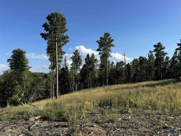 Lot 21 Overlook Court, Lead, SD 57754