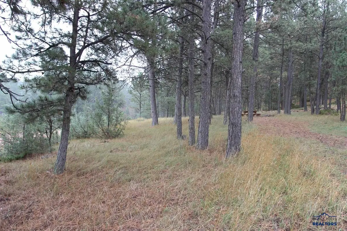 26757 Buffalo Butte Dr, Hot Springs, SD 57747 - #1