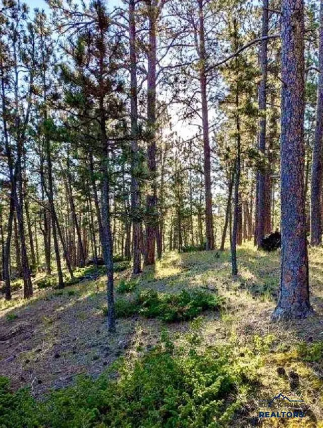 26757 Buffalo Butte Dr, Hot Springs, SD 57747 - #2