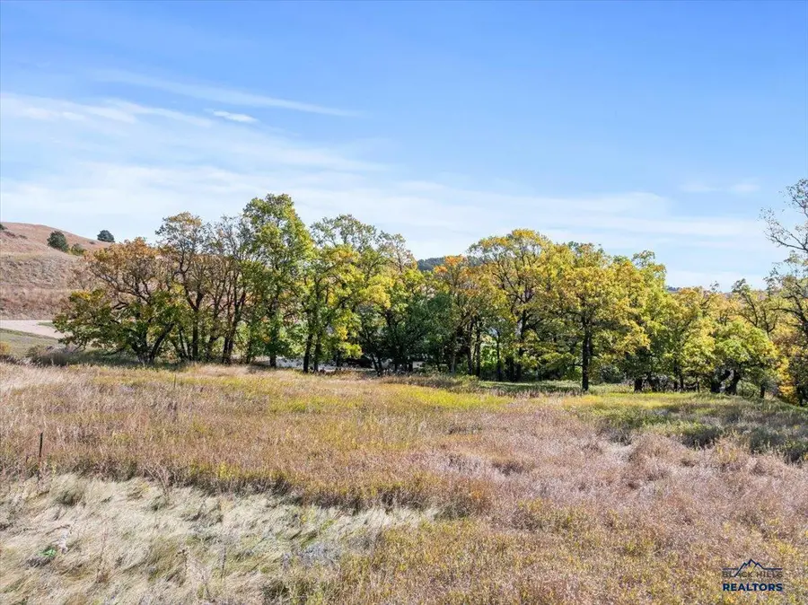 3630 Twisted Oak Rd, Sturgis, SD 57785 - #3