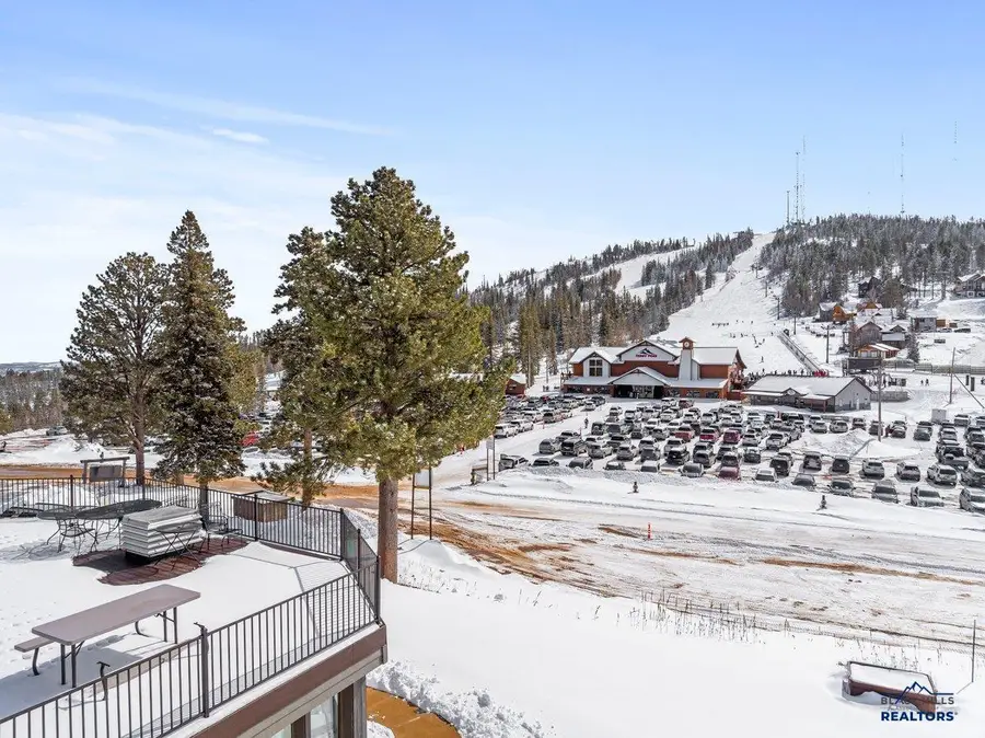 21117 Stewart Slope Road, Lead, SD 57754 - #2