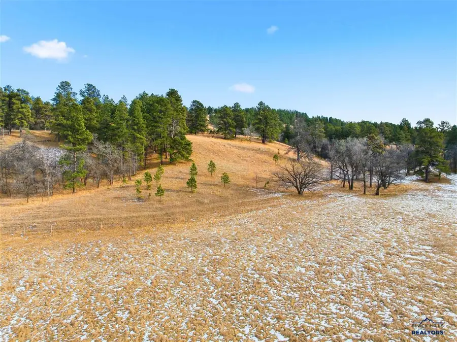 TBA Crook Mountain Rd, Whitewood, SD 57793 - #2