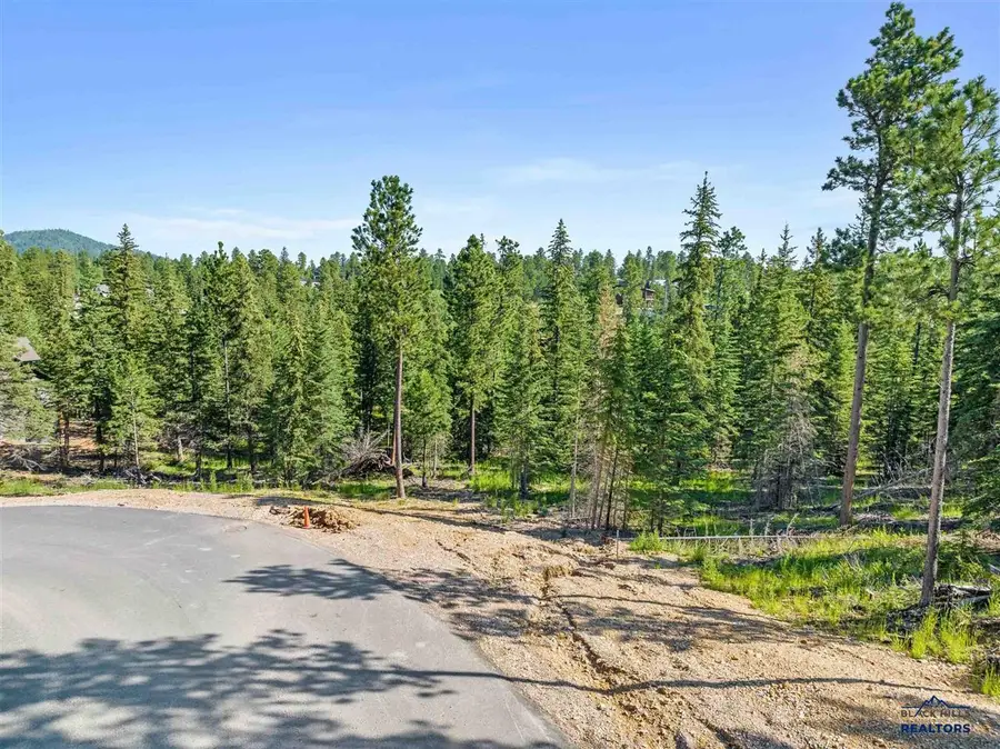 Lot 8 Trailside Loop, Lead, SD 57754 - #3