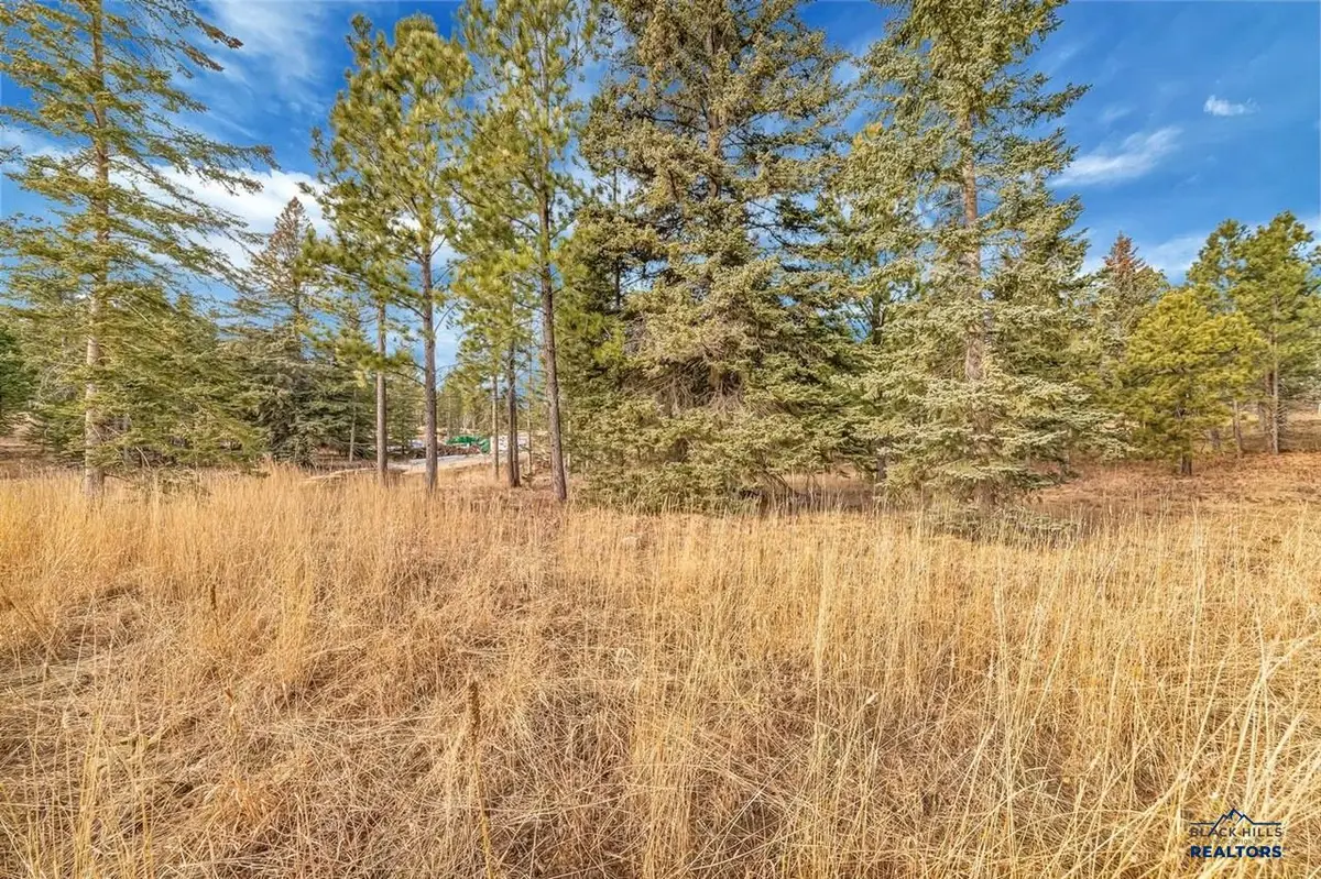 TBD Westwind Ct., Lead, SD 57754 - #1