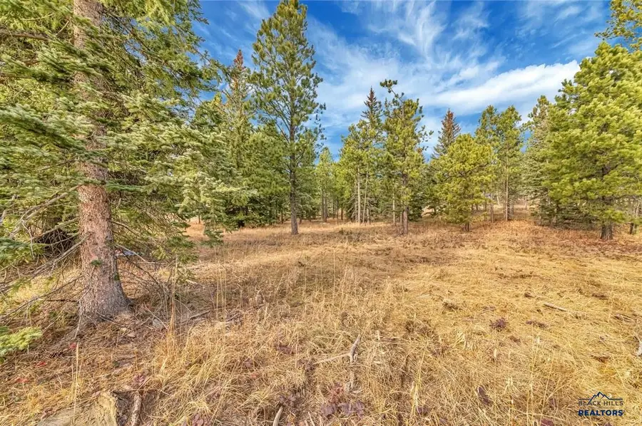 TBD Westwind Ct., Lead, SD 57754 - #2