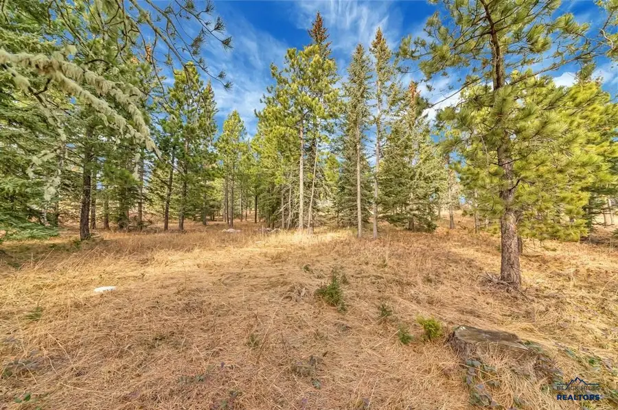 TBD Westwind Ct., Lead, SD 57754 - #3