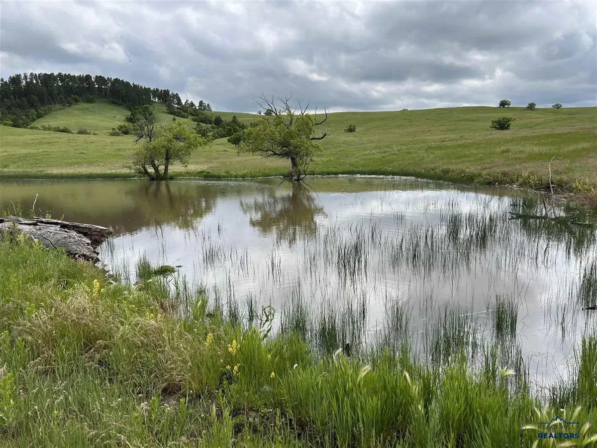 TBD Other, Whitewood, SD 57793 - #1