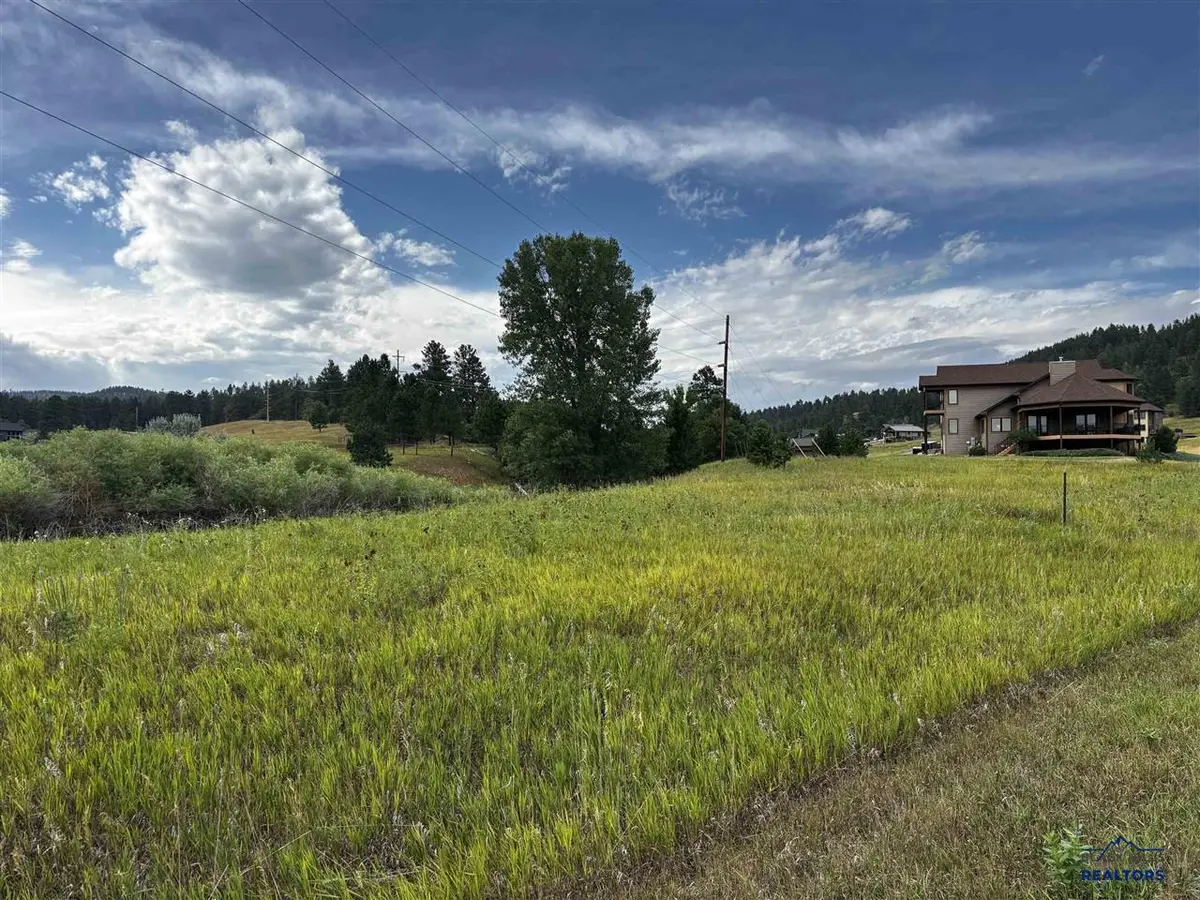 Lot 1 Block 10 Wildberger Rd, Sturgis, SD 57785 - #1