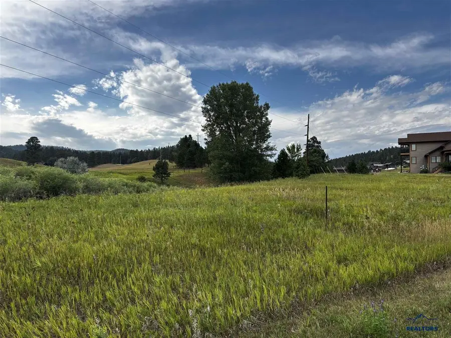 Lot 1 Block 10 Wildberger Rd, Sturgis, SD 57785 - #2
