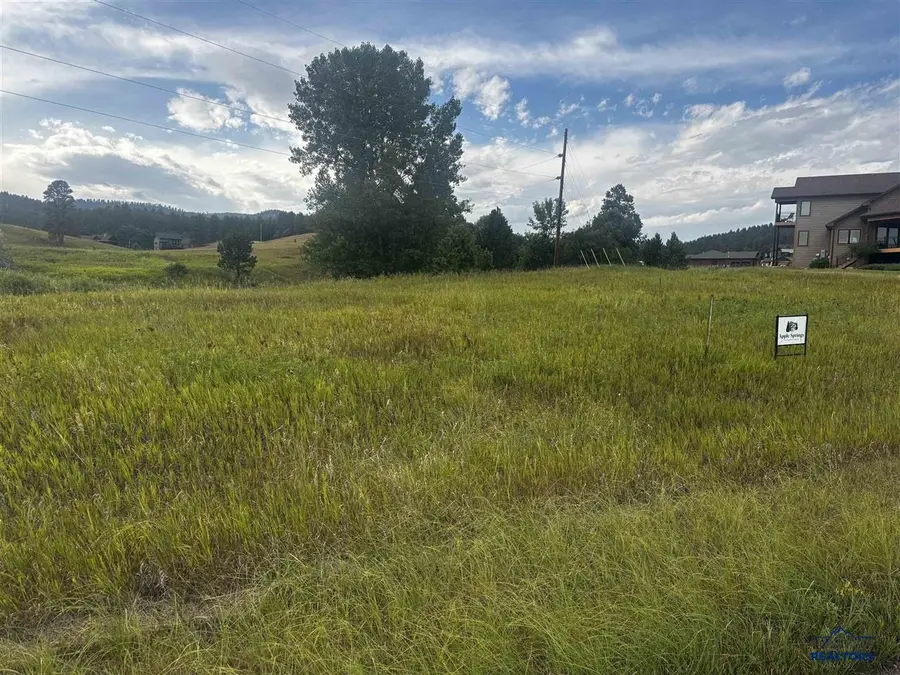 Lot 1 Block 10 Wildberger Rd, Sturgis, SD 57785 - #3