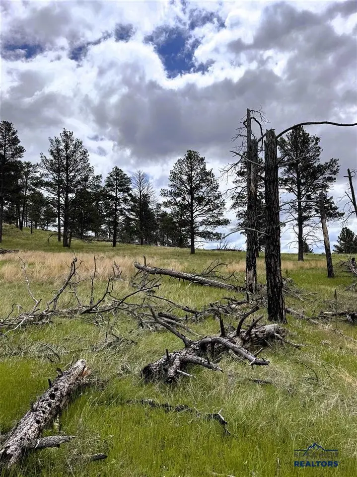 165 Gruenhagen Rd, Pine Haven, WY 82721 - #2
